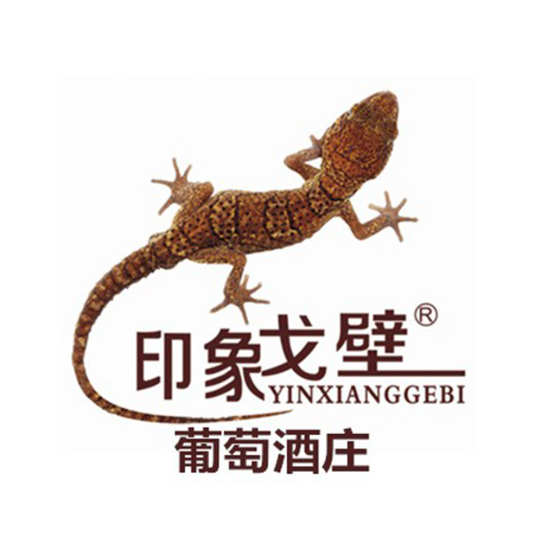 Chinese official logo