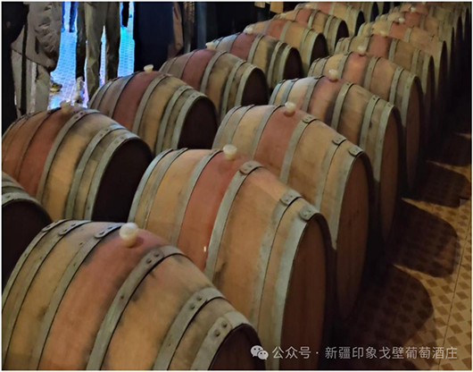 Impression Gobi barrel room
